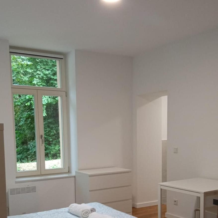 Studio Near To The City Centre 卢森堡 外观 照片